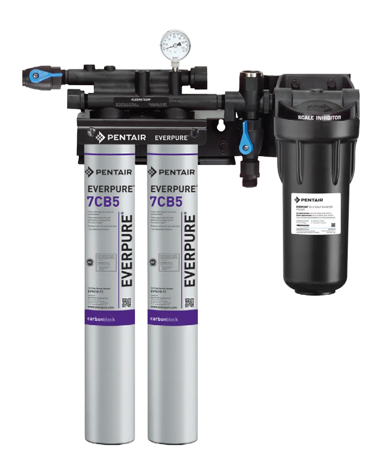 Everpure Kleensteam Twin by Pentair – dual‑cartridge steam system water treatment